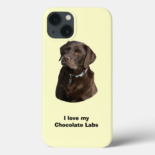 Schokoladenportrait Labrador Foto Case-Mate iPhone Hülle (Rückseite)