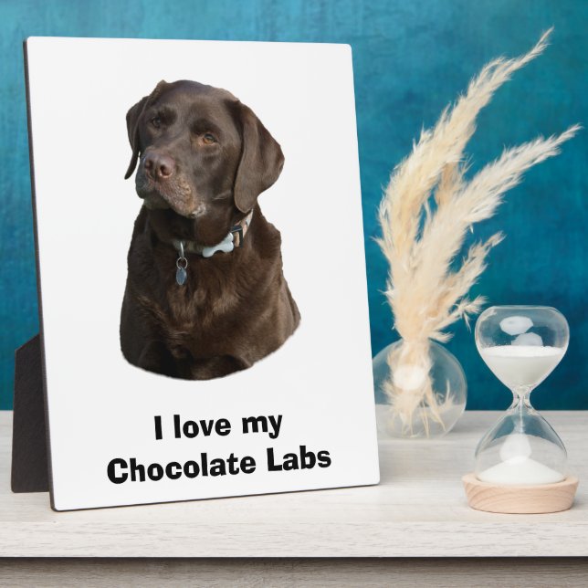 Schokoladenportrait Labrador Foto Fotoplatte (Seite)