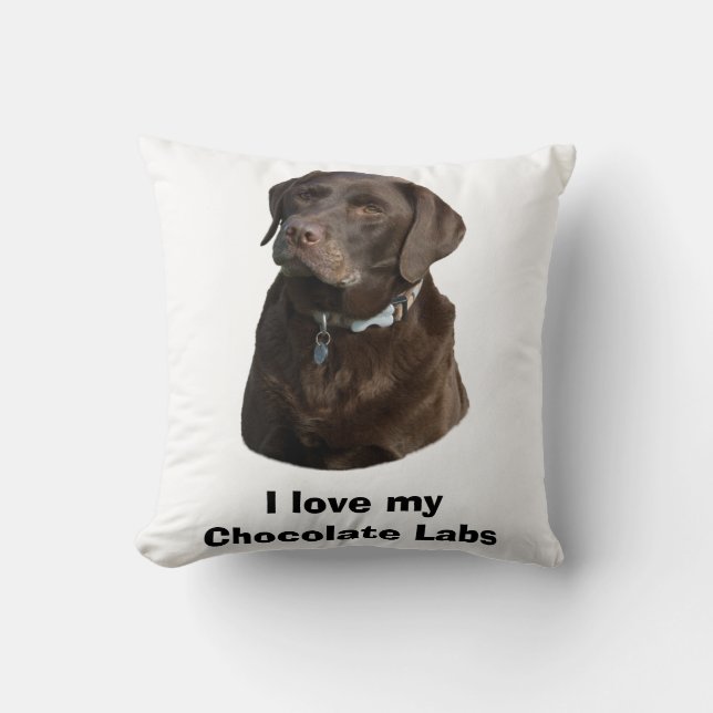 Schokoladenportrait Labrador Foto Kissen (Vorderseite)
