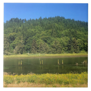 Scholfield Creek, Reedsport, Oregon Fliese