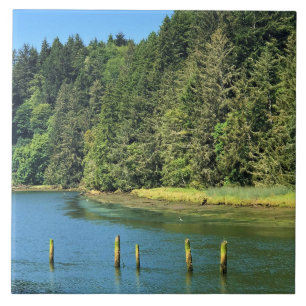 Scholfield Creek, Reedsport, Oregon Fliese