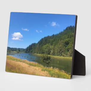 Scholfield Creek, Reedsport, Oregon Fotoplatte