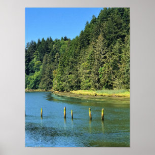 Scholfield Creek, Reedsport, Oregon Poster