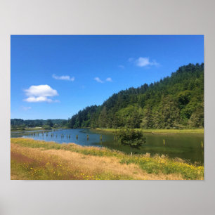 Scholfield Creek, Reedsport, Oregon Poster