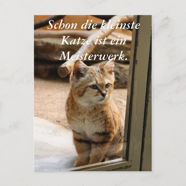 Schon die Katze ist ei... Postkarte (Vorderseite)