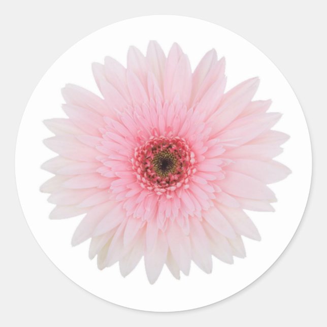 Schön erblassen Sie - rosa Runder Aufkleber (Vorderseite)