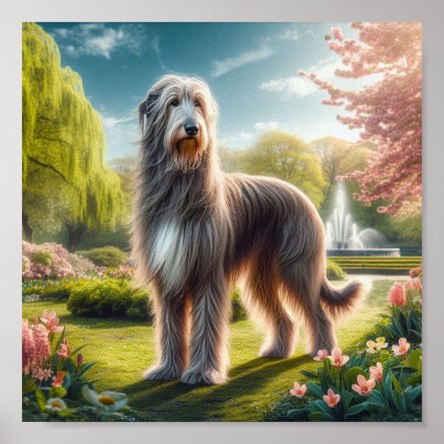 schön Irish Wolfhound Poster (Vorne)