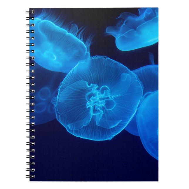 SCHÖN JELLYFISH NOTIZBLOCK (Vorderseite)