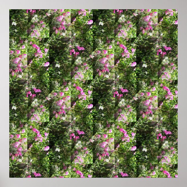 Schön süße Erbsen.... Poster (Vorne)