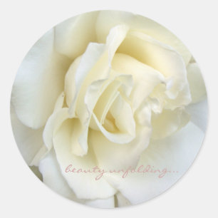 Schön weißer Rosenaufkleber Runder Aufkleber