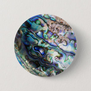 Schöne abalone Muschel Button