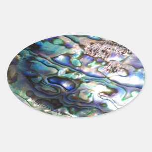 Schöne abalone Muschel Ovaler Aufkleber