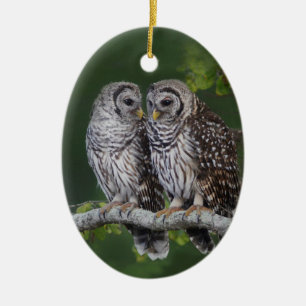 Schöne abgehaltene Eulen-Weihnachtsverzierung fü Keramik Ornament