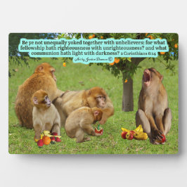 Schöne Affenschrift 2 Korinther 6:14 Fotoplatte