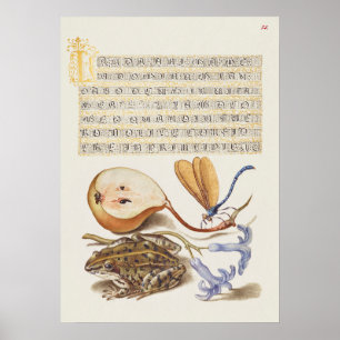 Schöne alte botanische Illustration Poster