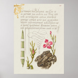 Schöne alte botanische Illustration Poster