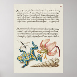 Schöne alte botanische Illustration Poster