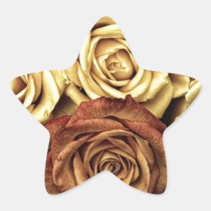 Schöne alte Rose Stern-Aufkleber