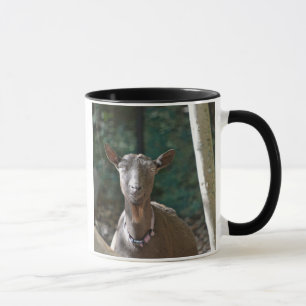 Schöne alte Ziege Tasse