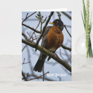 Schöne American Robin Geburtstagskarte Karte