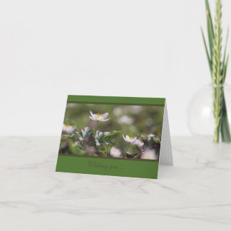 Schöne Anemones aus weißem Holz Karte