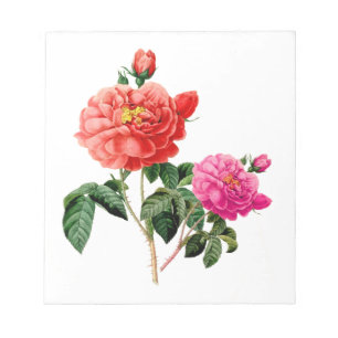 schöne antike rote und rosa Rosenblumen Notizblock