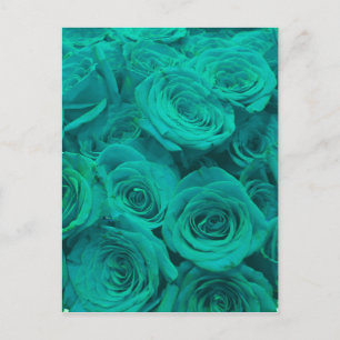 Schöne aquamarine grüne Rose aquamarine Blume Postkarte