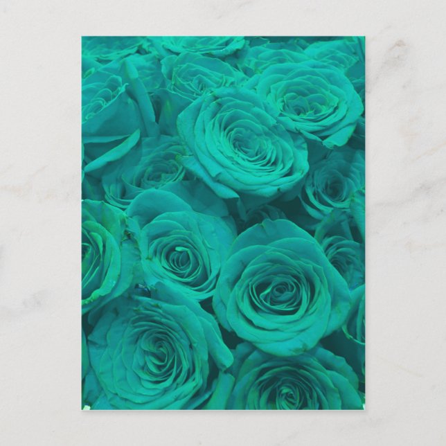 Schöne aquamarine grüne Rose aquamarine Blume Postkarte (Vorderseite)