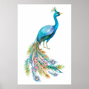 Schöne Aquarell-Illustration eines blauen Pfaus Poster