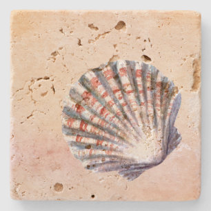 Schöne Aquarell-Muschel Pink Beach Steinuntersetzer