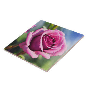 Schöne Aquarell-Rosa-Rosen-Moderne-Kollektion Fliese