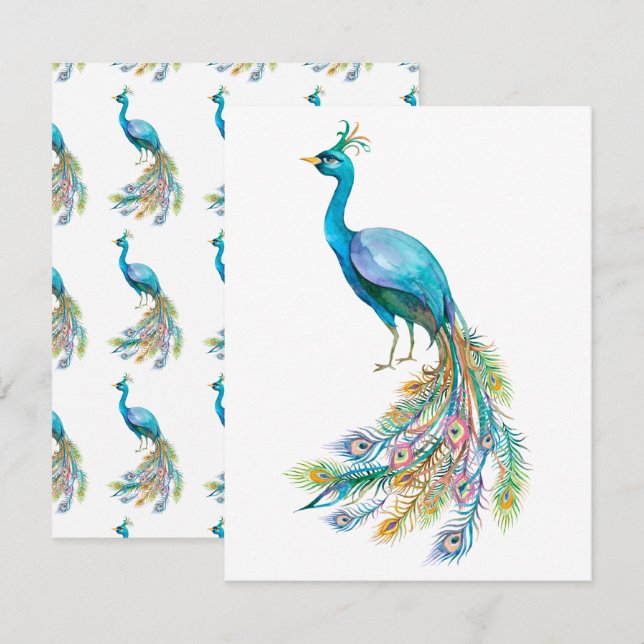 Schöne Aquarellblau-Pfauendarstellung Mitteilungskarte (Vorne/Hinten)