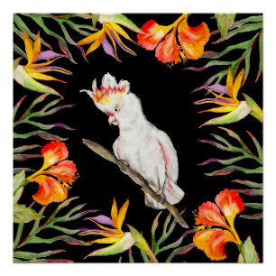 Schöne Aquarellmücke mit Perrot zeichnend Poster