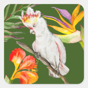 Schöne Aquarellmücke mit Perrot zeichnend Quadratischer Aufkleber