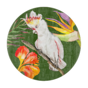Schöne Aquarellmücke mit Perrot zeichnend Schneidebrett