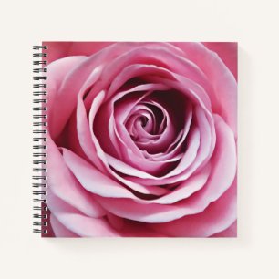 Schöne Aquarellrosa Blume Notizbuch