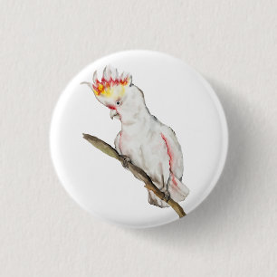 Schöne Aquarellsittich-Papagei Hand zeichnend Button