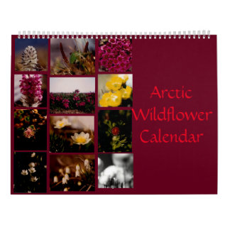 Schöne arktische Wildblumen - Farbwand Kalender