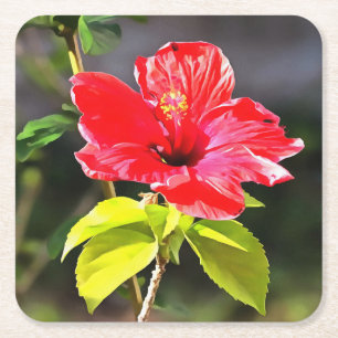 Schöne Artistic Red Tropical Hibiskus Blume Rechteckiger Pappuntersetzer