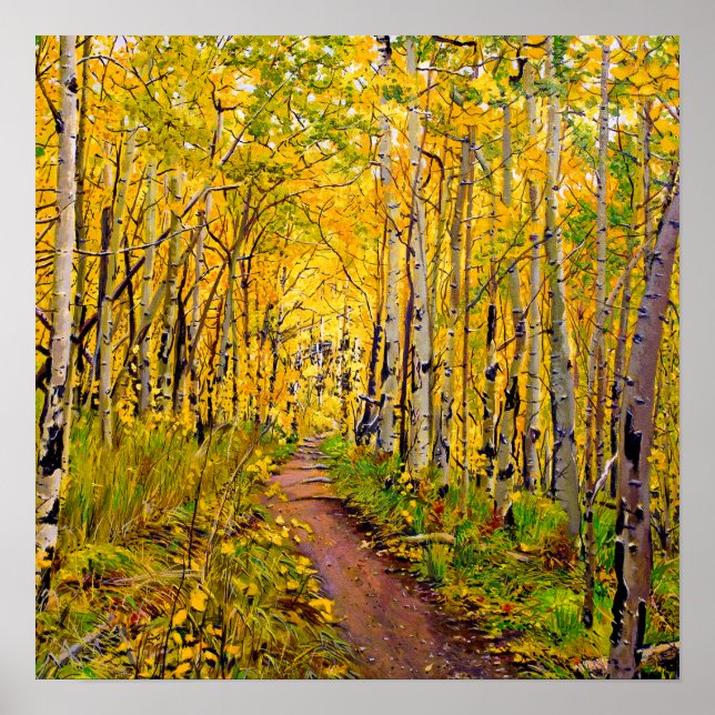 Schöne Aspen Bäume im Herbst Splendor Poster (Vorne)