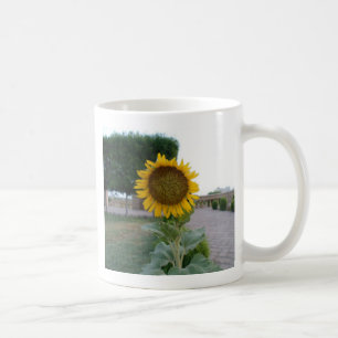 Schöne Atemberaubende Sonnenblume Kaffeetasse