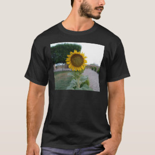 Schöne Atemberaubende Sonnenblume T-Shirt