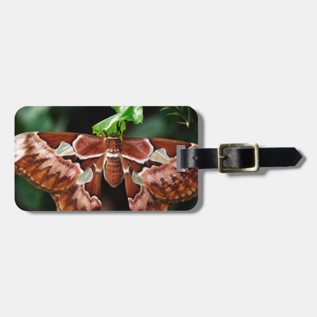 Schöne Atlas Moth Gepäckanhänger (Vorderseite horizontal)