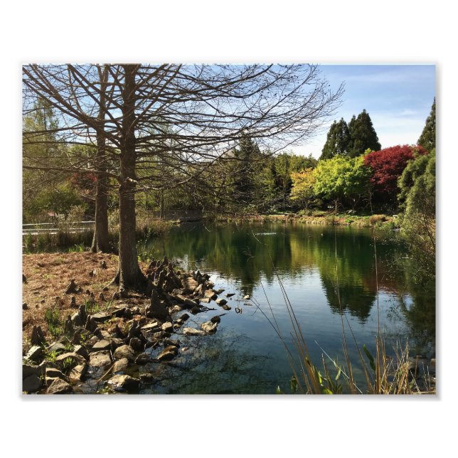 Schöne Aussicht auf den See Fotodruck (Vorne)