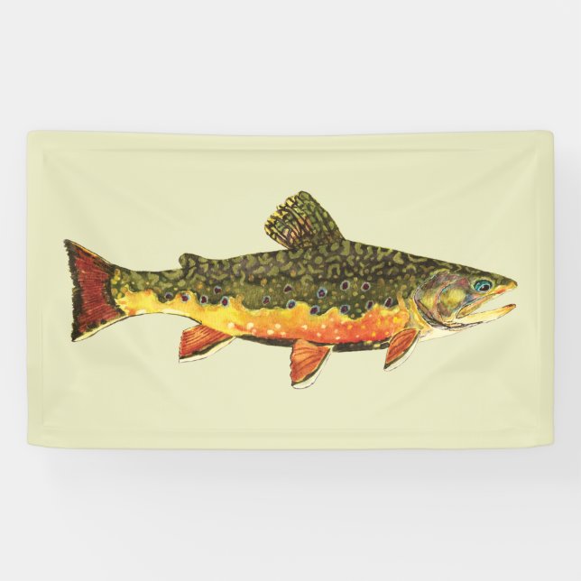Schöne Bachforelle Banner (Horizontal)