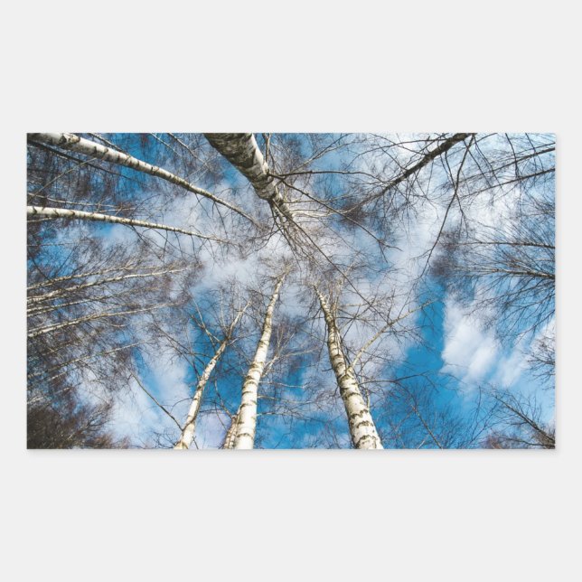 Schöne Bäume auf dem Weg zum Sky Sticker (Vorderseite)