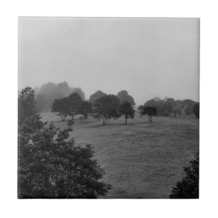 Schöne Bäume und Natur im Nebel Fliese