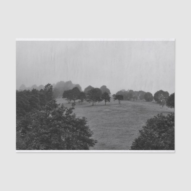Schöne Bäume und Natur im Nebel Seidenpapier (Vorderseite)