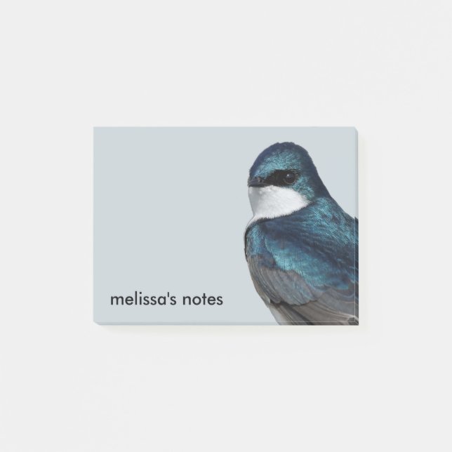 Schöne Baumschlucht: Songbird auf einem Draht Post-it Klebezettel (Vorderseite)