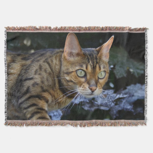 Schöne Bengalische Katze Decke (Vorderseite)